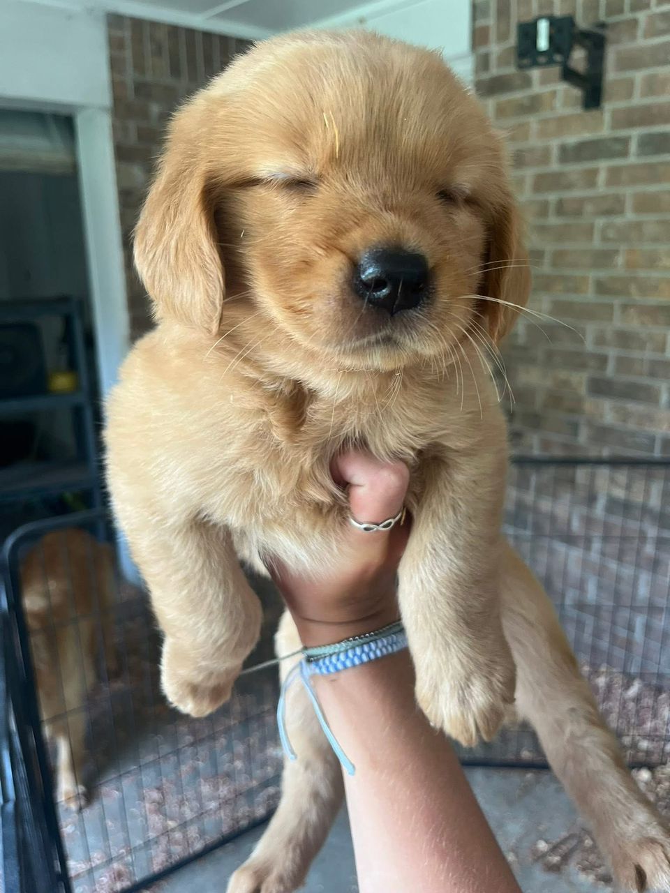 Charlie
