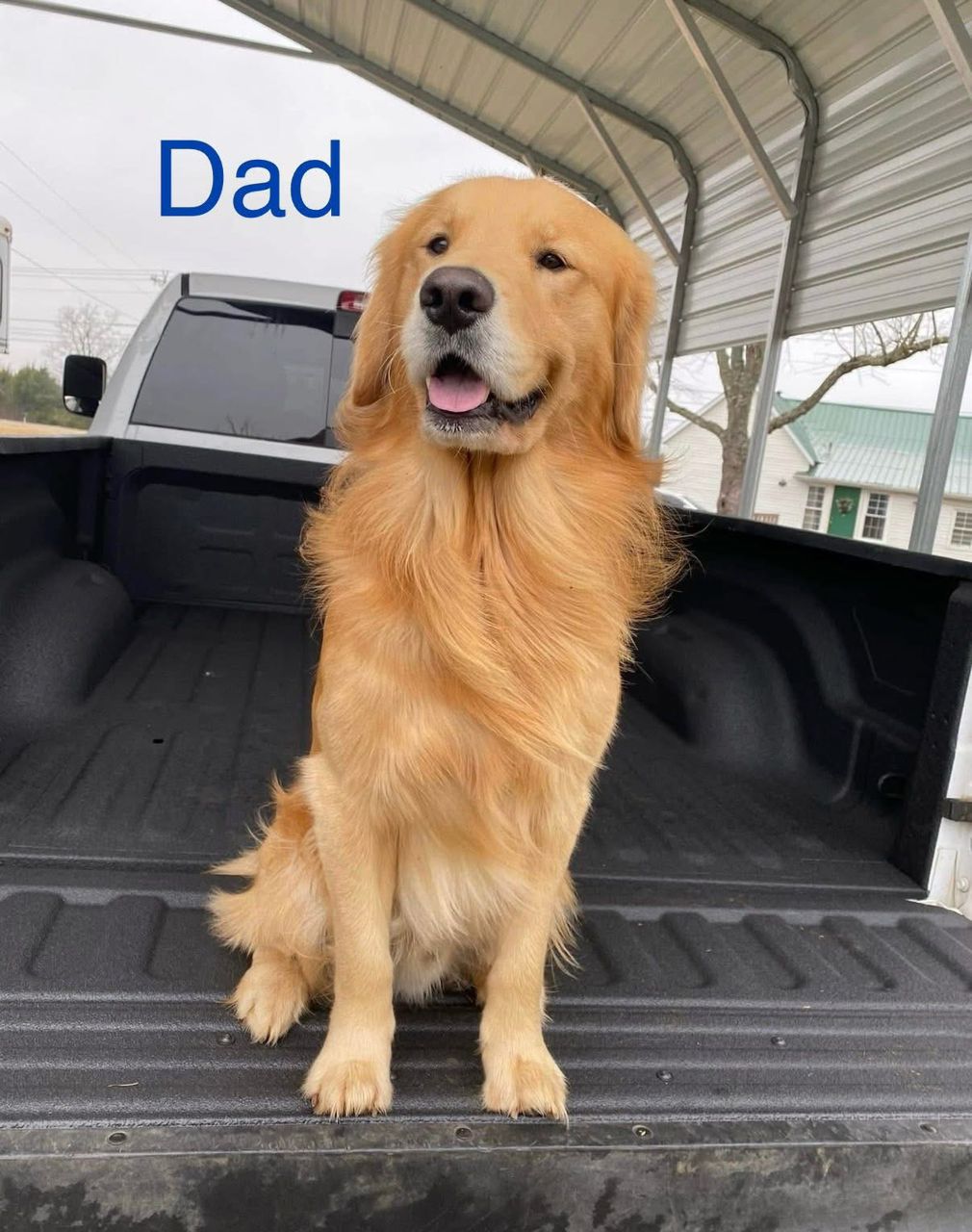 Dad