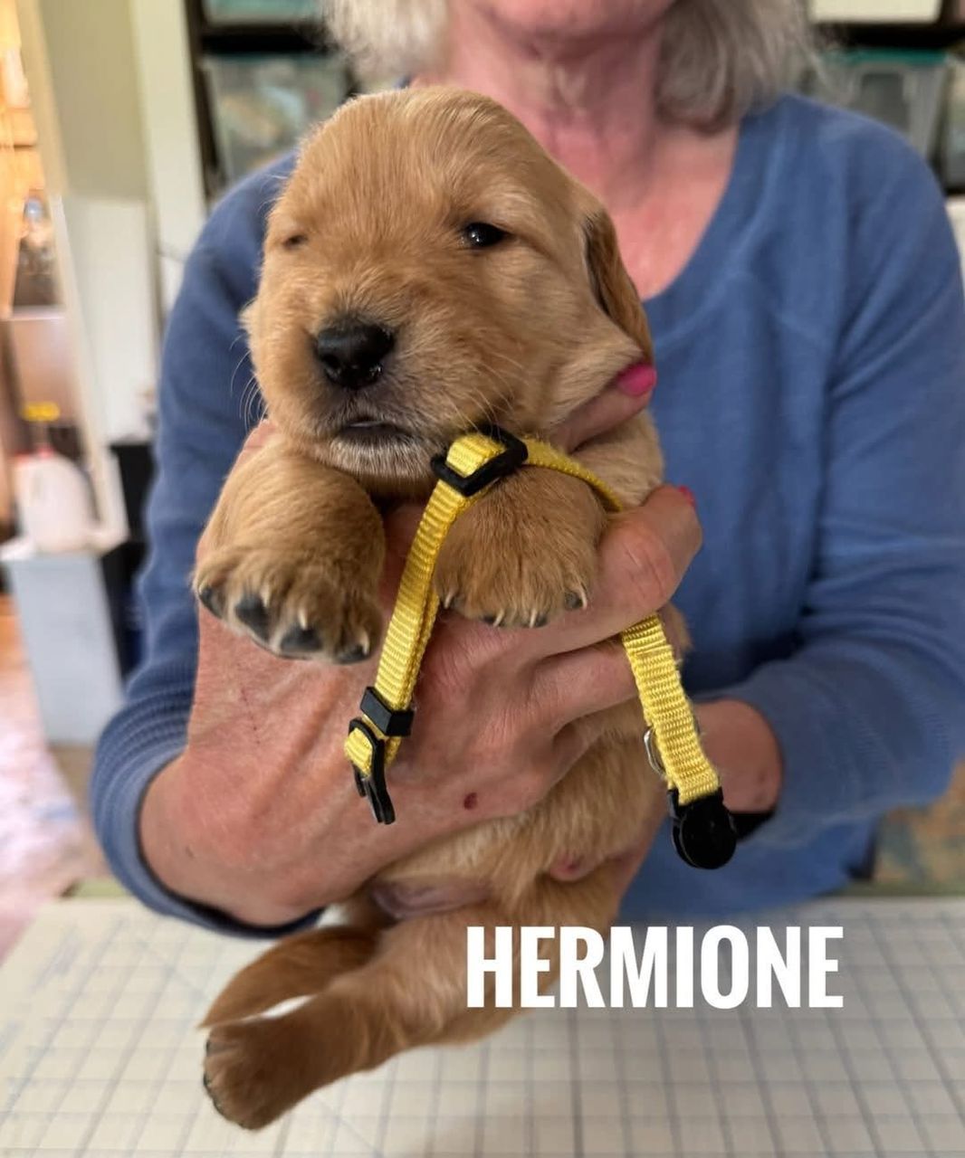 Hermione