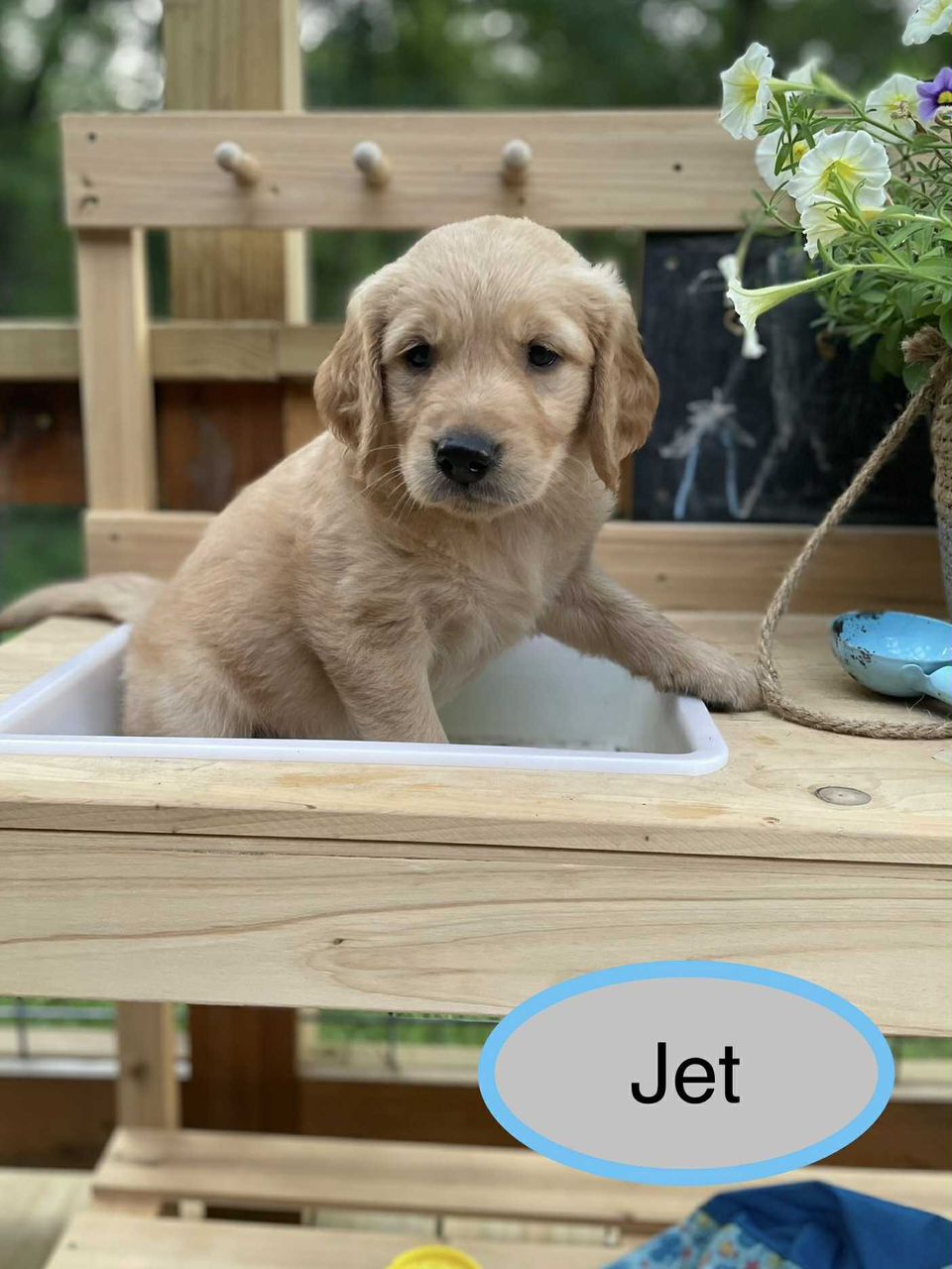 Jet