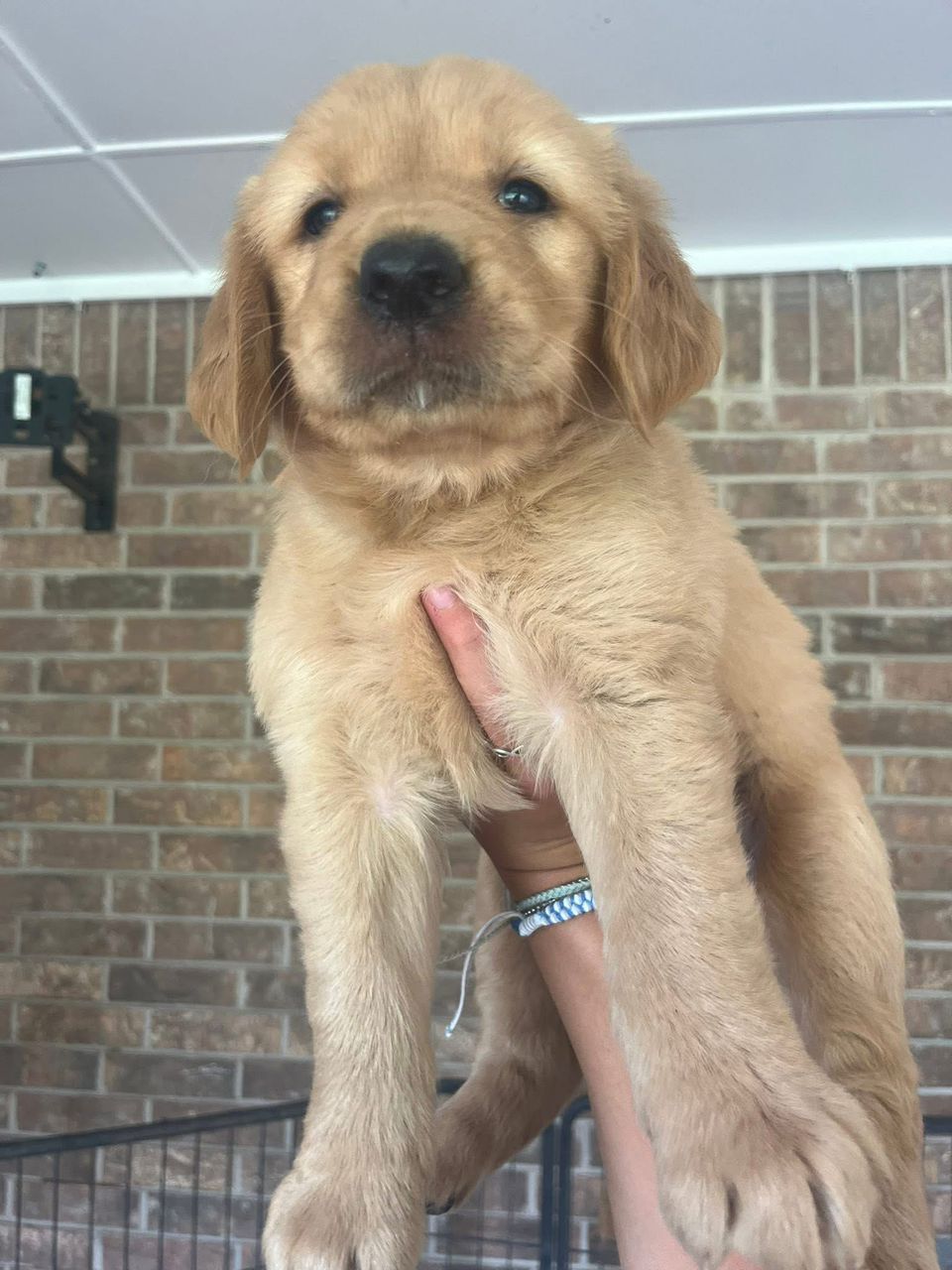 Lucy