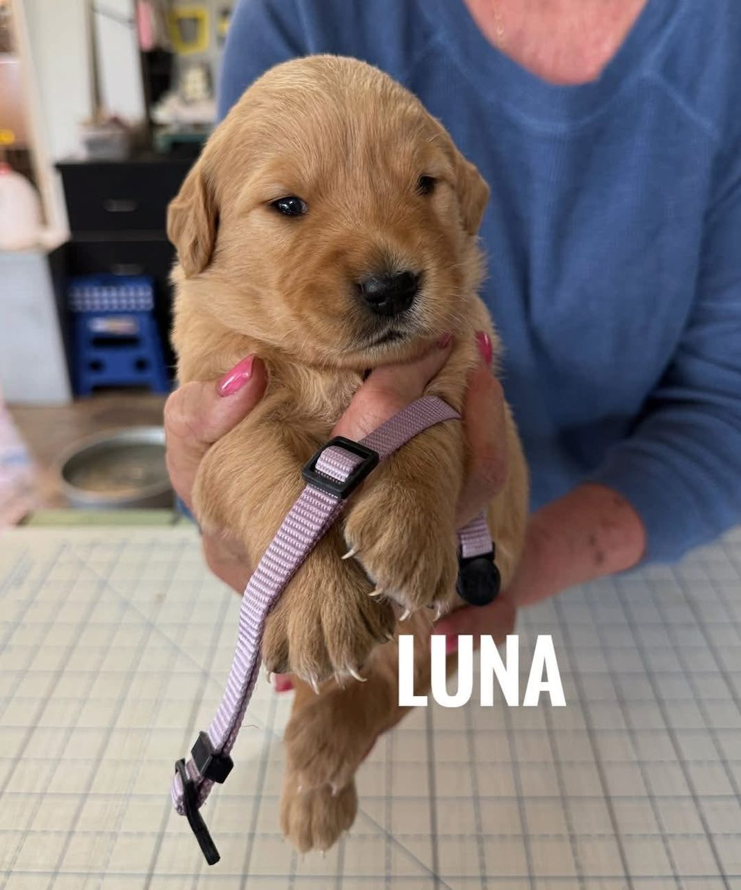 Luna