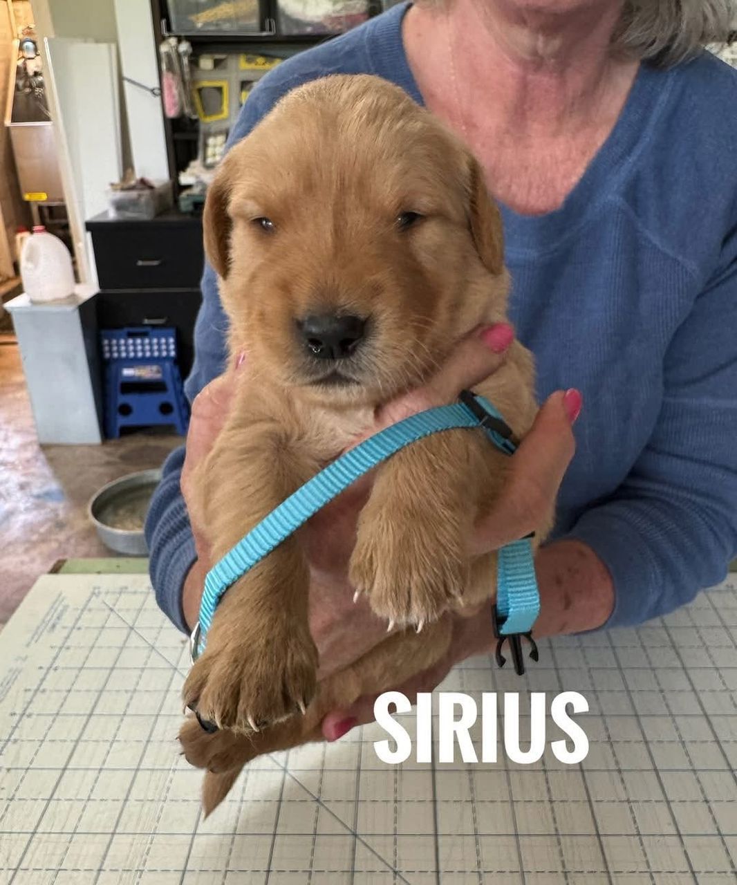 Sirius