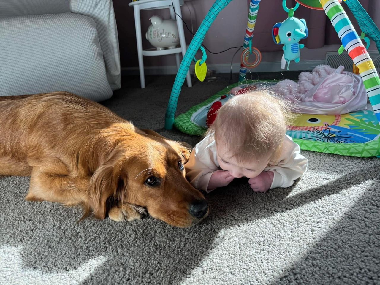 Son and Dog