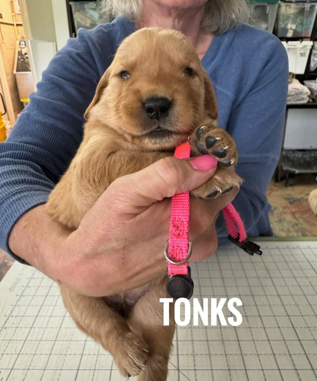 Tonks